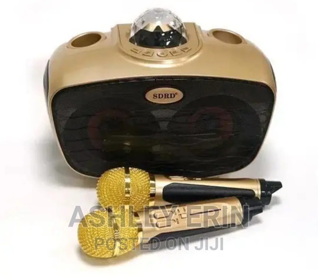 SD 315 BT Bluetooth Speaker With 2 Microphone