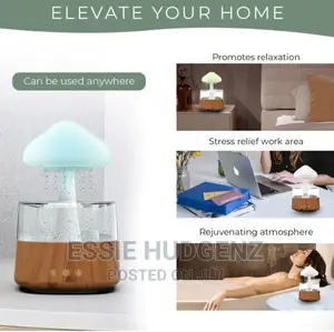 Rain Cloud Humidifier