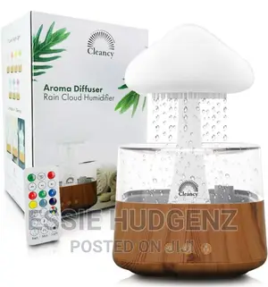 Rain Cloud Humidifier