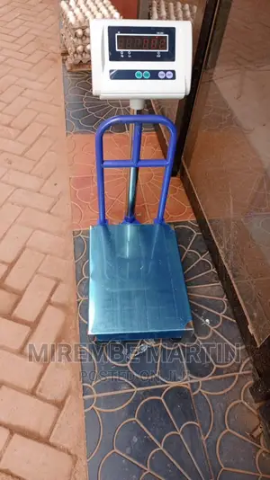 Digital Weighing Scale