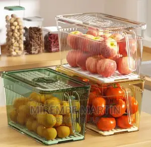 Plastic Fridge Storage Containers