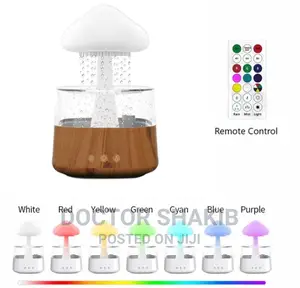 Rain Drop Humidifier, Mushroom Humidifier 4 In 1