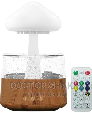 Rain Drop Humidifier, Mushroom Humidifier 4 In 1