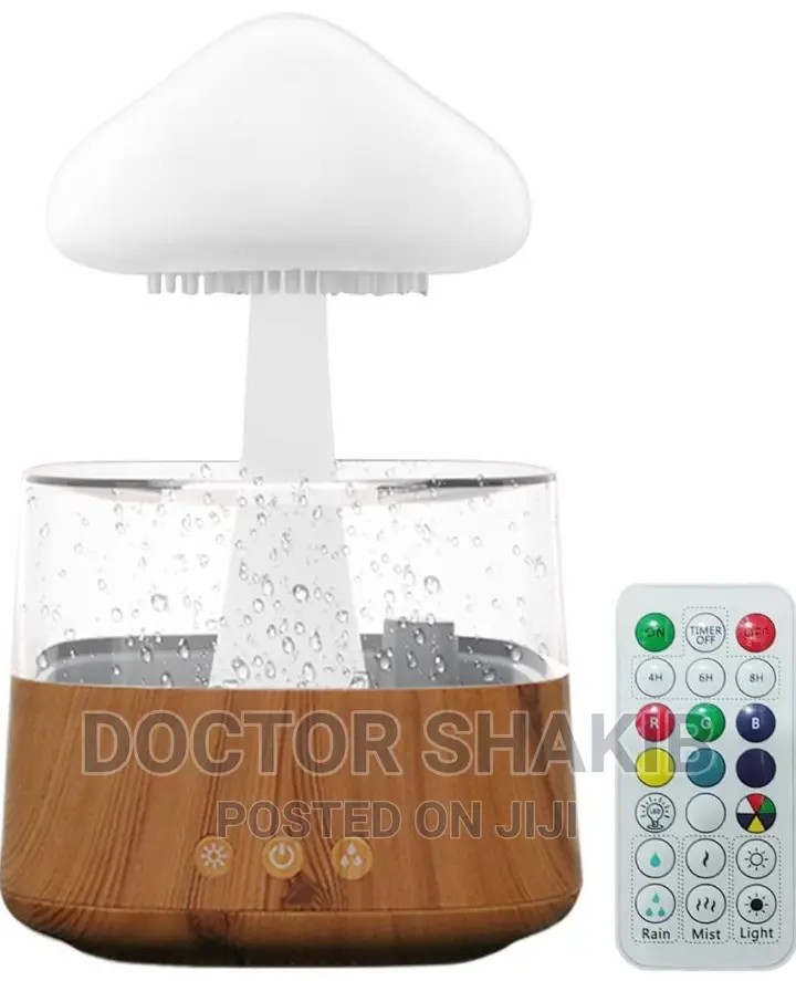 Rain Drop Humidifier, Mushroom Humidifier 4 In 1
