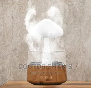 Rain Drop Humidifier, Mushroom Humidifier 4 In 1
