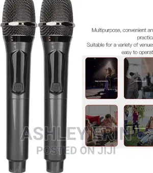 Professional Universal Wireless Microphone