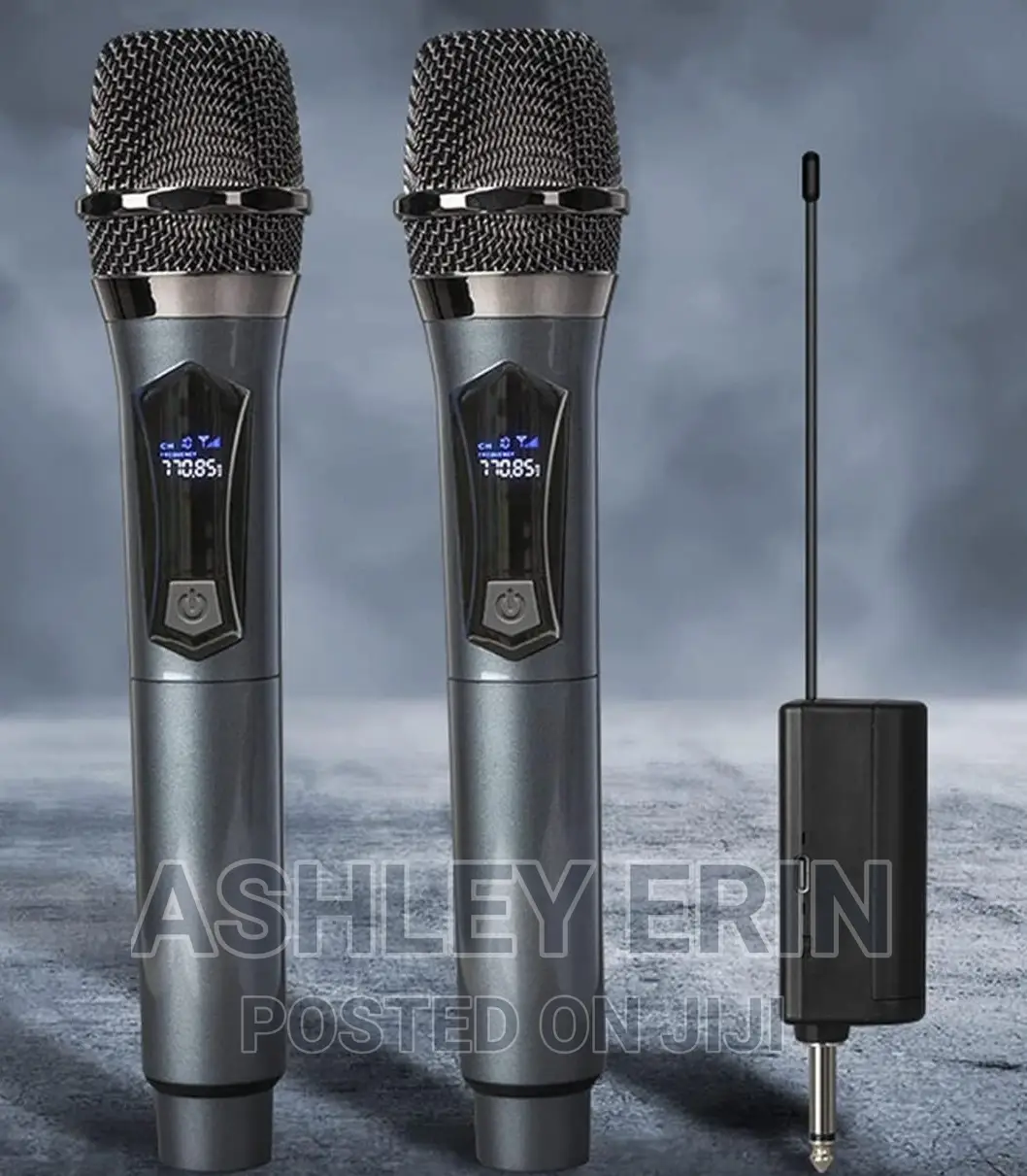 Professional Universal Wireless Microphone