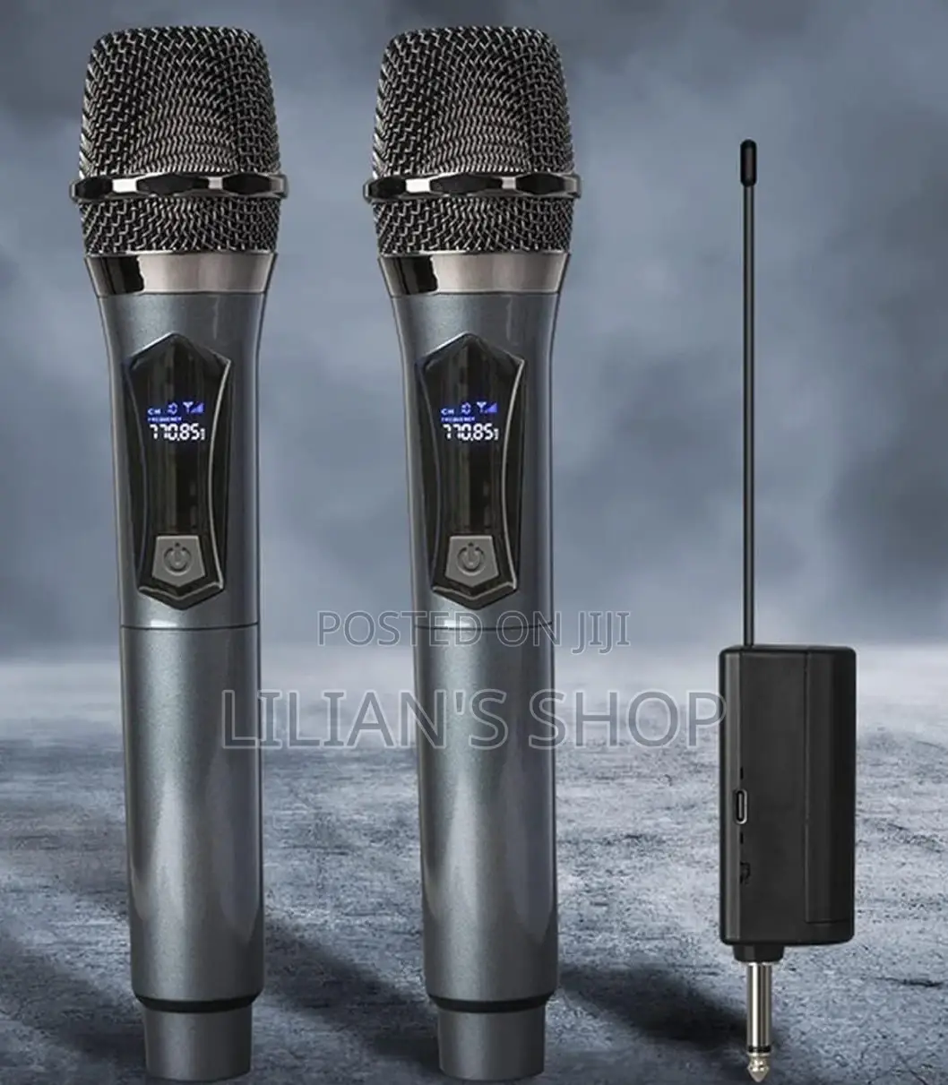 Professional Universal Wireless Microphone