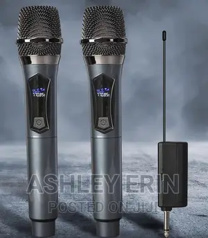 Professional Universal Wireless Microphone