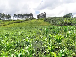 3 Acres of Land for Sale in Rwetera, Fort Portal.