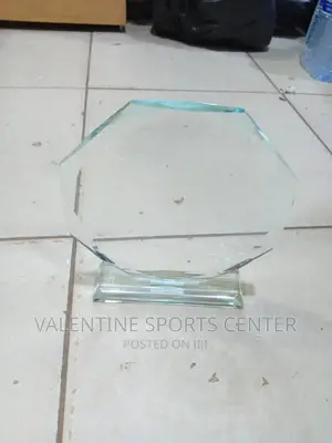 Award Trophies Original Materials All Different Types