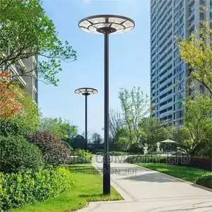 300w Solar Company Light / 300w Solar Garden Light