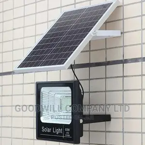 City 60w Solar Flood Light