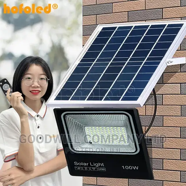 100w Solar Flood Light Class a Super Night Light