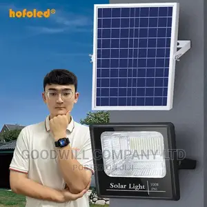 Super Night 100w Solar Flood Light