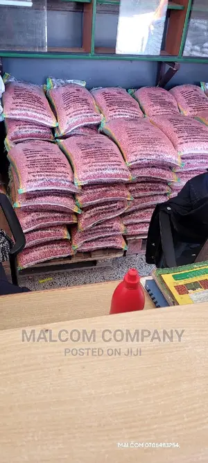 Maize Seeds Wholesalers