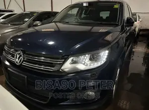 Volkswagen Tiguan 2014 Blue