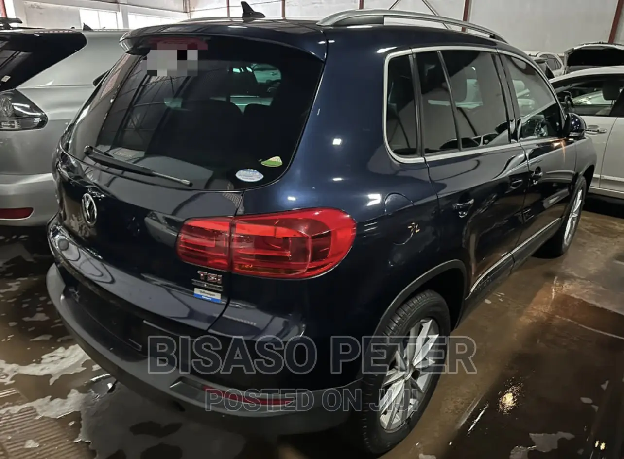 Volkswagen Tiguan 2014 Blue