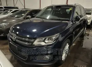Volkswagen Tiguan 2014 Blue