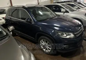 Volkswagen Tiguan 2014 Blue
