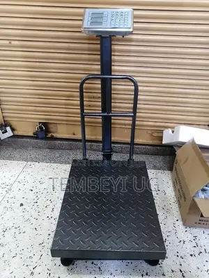 300kg Digital Platform Weighing Scale TCS