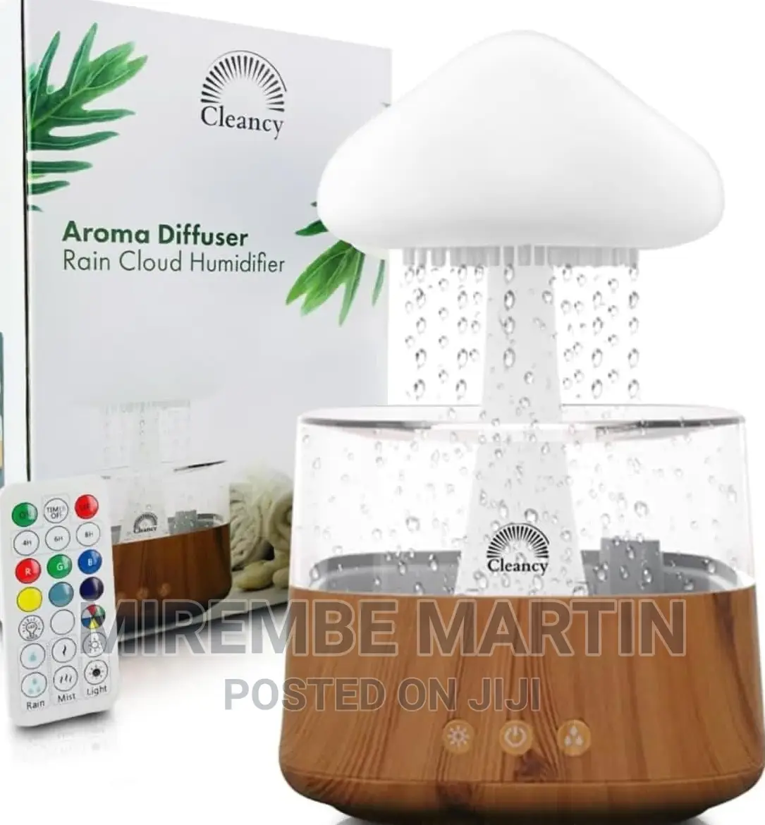 Rain Cloud Humidifier
