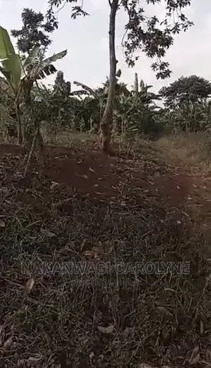 Land for Sell 100ft*120ft