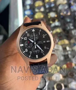 Iwc Schaffhausen Watch