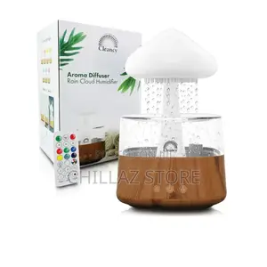 Rain Cloud Humidifier.