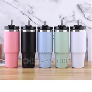 Double Layer Insulated Mugs .