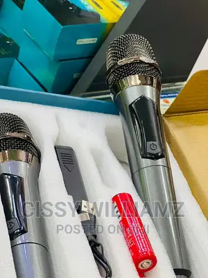 Wireless Professional Microphone/Wireless Microphones