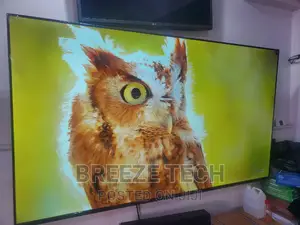 65" Inch Lg Smart Flat Screen