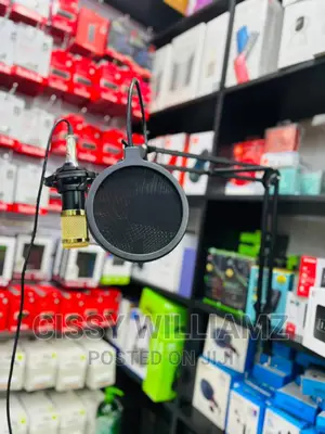 Condenser Professional Microphone/ Recording Microphone
