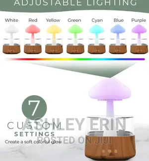 4 in 1 Aroma Diffuser Rain Cloud Mushroom Humidifier