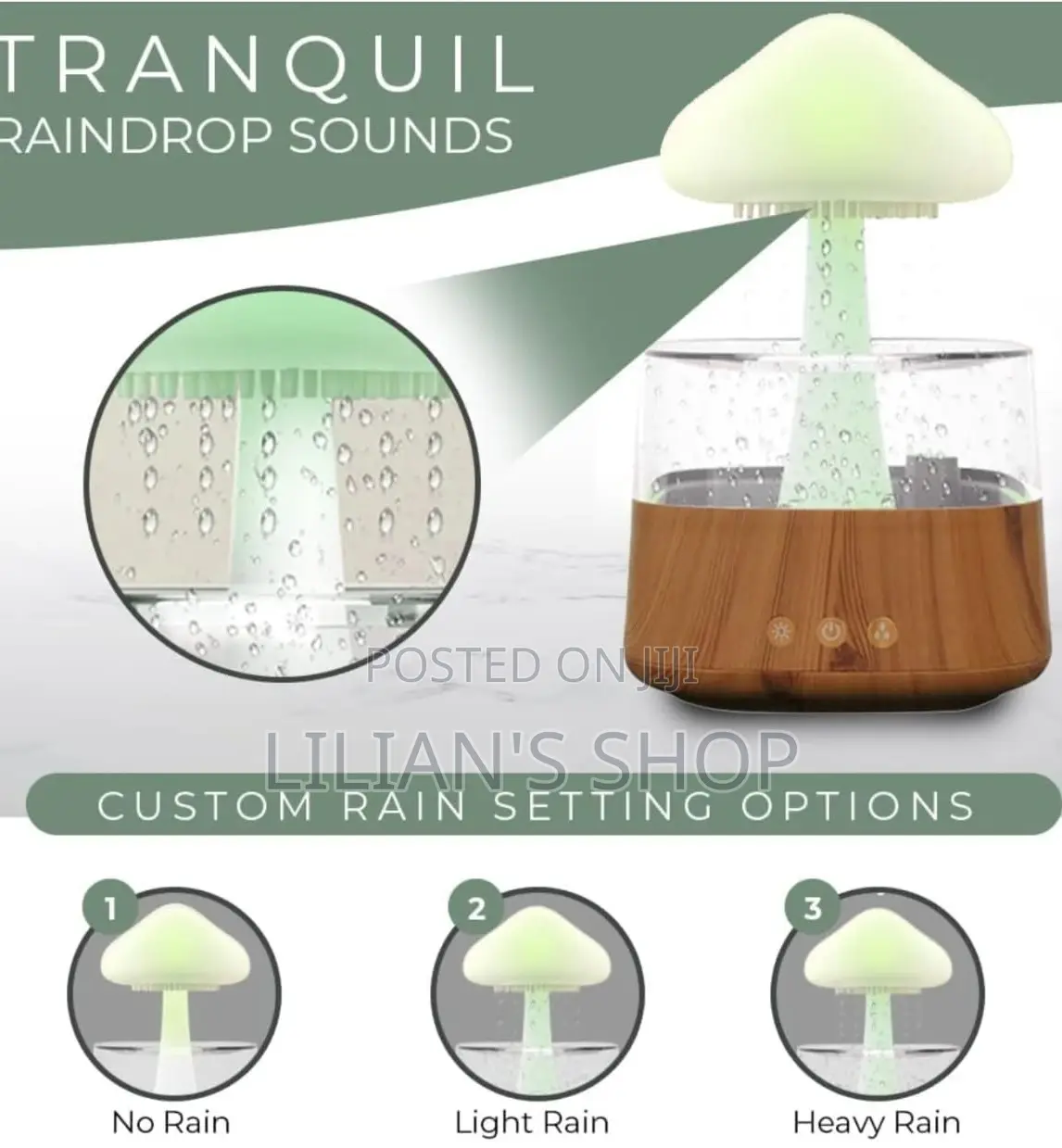 4 in 1 Aroma Diffuser Rain Cloud Mushroom Humidifier