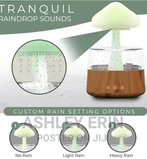 4 in 1 Aroma Diffuser Rain Cloud Mushroom Humidifier