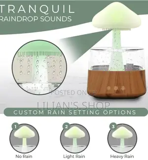 4 in 1 Aroma Diffuser Rain Cloud Mushroom Humidifier
