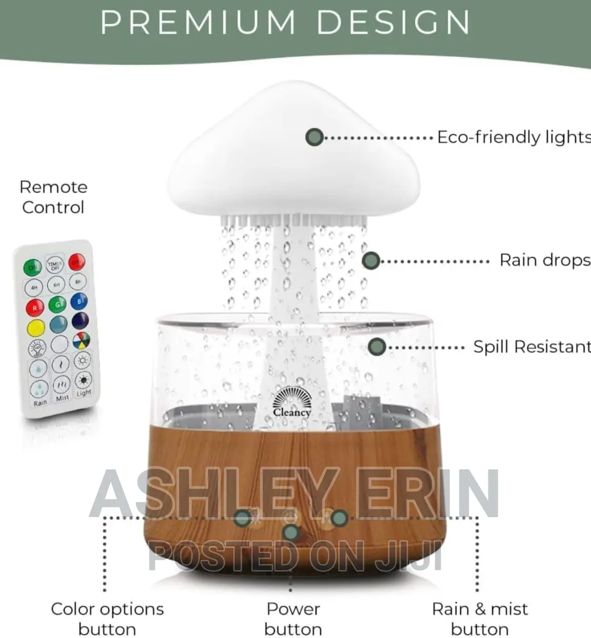 4 in 1 Aroma Diffuser Rain Cloud Mushroom Humidifier