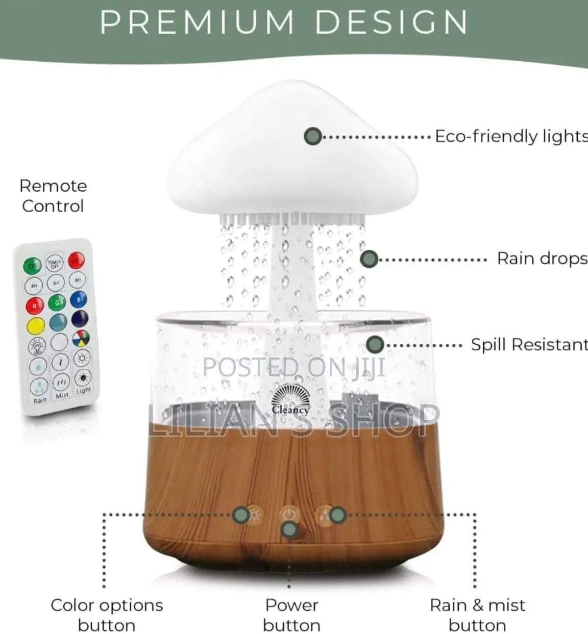 4 in 1 Aroma Diffuser Rain Cloud Mushroom Humidifier