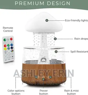 4 in 1 Aroma Diffuser Rain Cloud Mushroom Humidifier