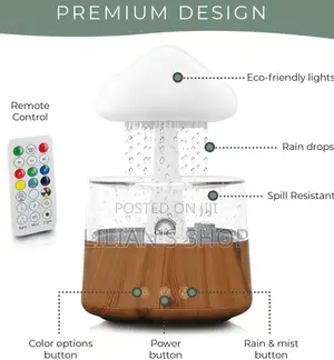 4 in 1 Aroma Diffuser Rain Cloud Mushroom Humidifier