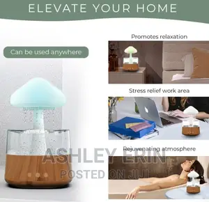 4 in 1 Aroma Diffuser Rain Cloud Mushroom Humidifier