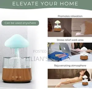 4 in 1 Aroma Diffuser Rain Cloud Mushroom Humidifier