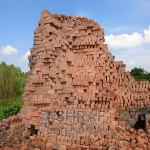 Building Solid Clay Bricks