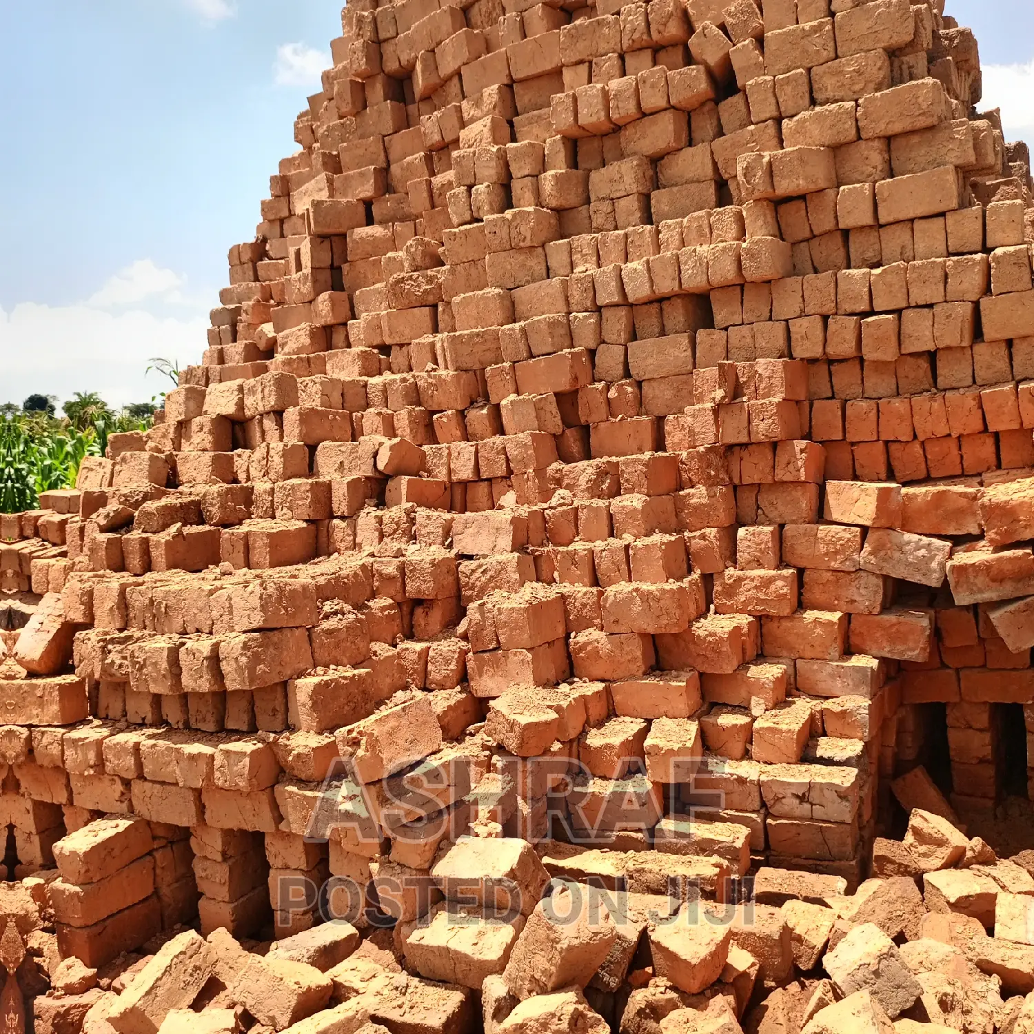 Building Solid Clay Bricks