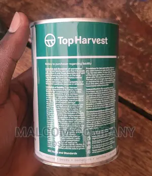 Green Pepper Seeds