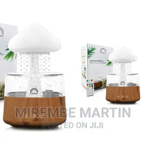 Rain Cloud Humidifier