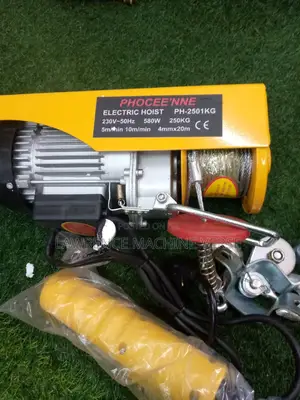 Electric Hoist 250kg