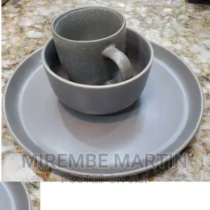 Dinner Plate Set
