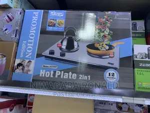 DSP High Quality Double Hot Plate